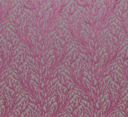 Reef Magenta